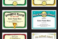 10+ Volleyball Certificates Ideas | Volleyball, Certificate within Netball Certificate Templates Free 17 Concepts