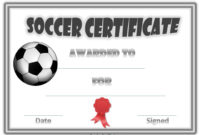 13+ Soccer Award Certificate Examples – Pdf, Psd, Ai for Soccer Award Certificate Templates Free