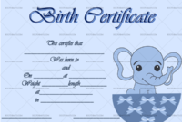 22+ Birth Certificate Templates – Editable & Printable Designs with Fillable Birth Certificate Template