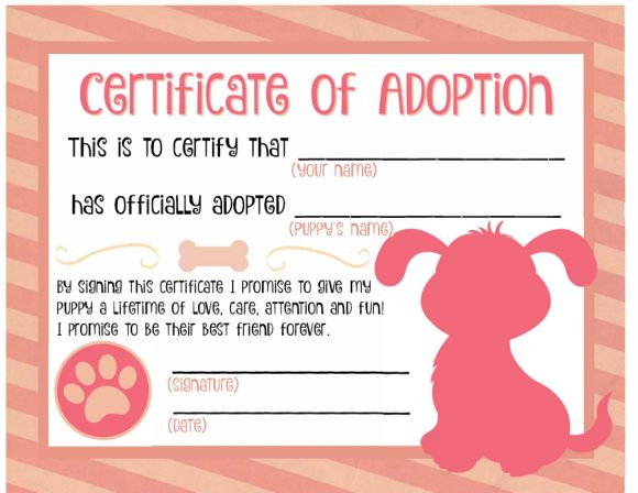40+ Real &amp; Fake Adoption Certificate Templates - Printable throughout Pet Adoption Certificate Template