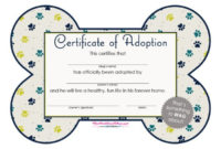 40+ Real & Fake Adoption Certificate Templates – Printable with regard to Pet Birth Certificate Template 24 Choices