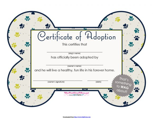 40+ Real &amp;amp; Fake Adoption Certificate Templates - Printable with regard to Pet Birth Certificate Template 24 Choices