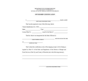 47 Certificate Of Ownership Templates [Instant Download] in Quality Certificate Of Ownership Template