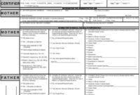 Birth Certificate – An Overview | Sciencedirect Topics within New Certificate For Best Dad 9 Best Template Choices