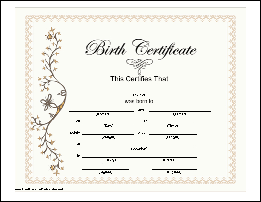 Birth Certificate Printable Certificate | Birth Certificate with Unique Cute Birth Certificate Template