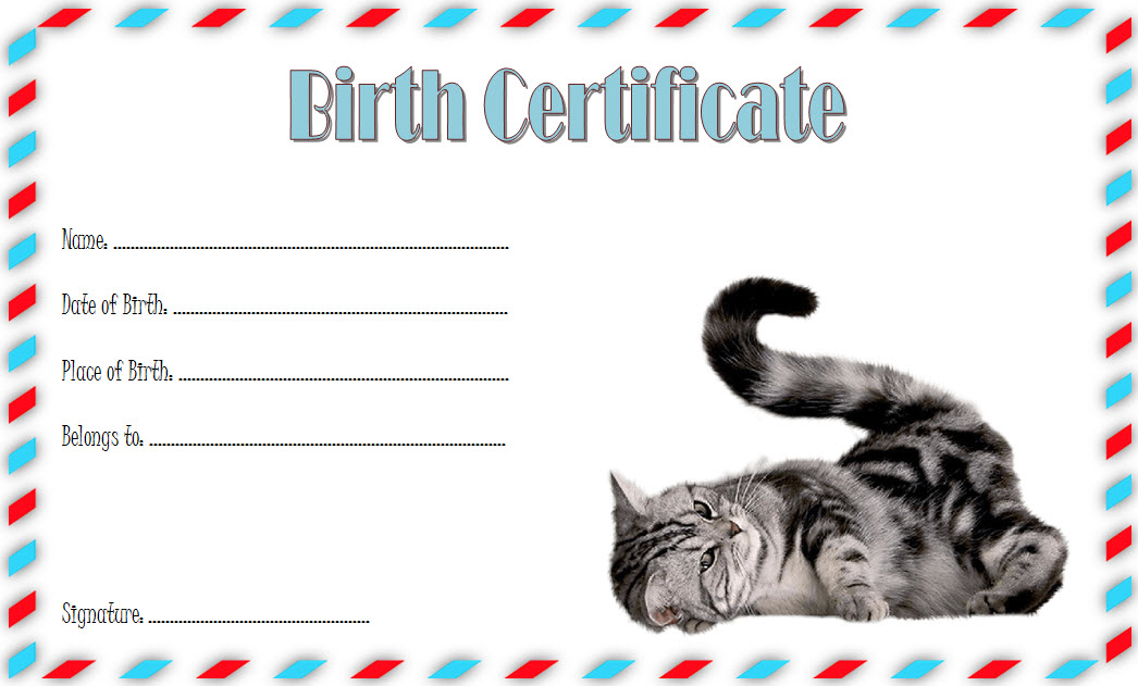 Cat Birth Certificate Template Free 2 | Cat Birth, Birth in Quality Cat Birth Certificate Free Printable