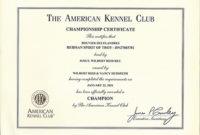 Certificate Archive | Reidsan regarding Certificate Of Championship