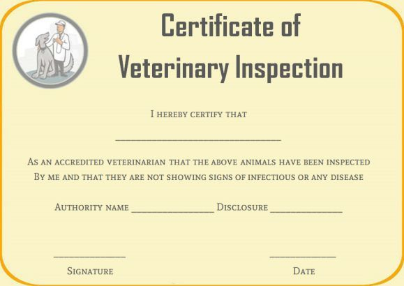 Certificate Of Veterinary Inspections | Certificate for Unique Veterinary Health Certificate Template