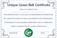Certificates Archives – Page 66 Of 122 – Template Sumo with regard to Green Belt Certificate Template