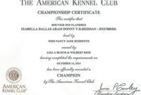 Championship Certificate | Reidsan with Unique Certificate Of Championship