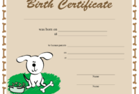 Dog Birth Certificate Printable Certificate for Dog Birth Certificate Template Editable