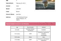 Dog Shot Record Template – Pdf Templates | Jotform with regard to Dog Vaccination Certificate Template
