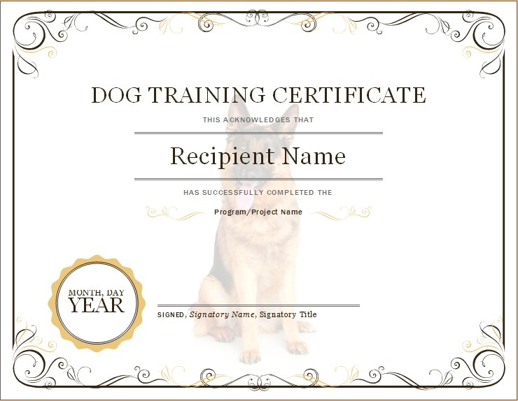 Dog Training Certificate | Microsoft Word &amp;amp; Excel Templates in Dog Obedience Certificate Templates