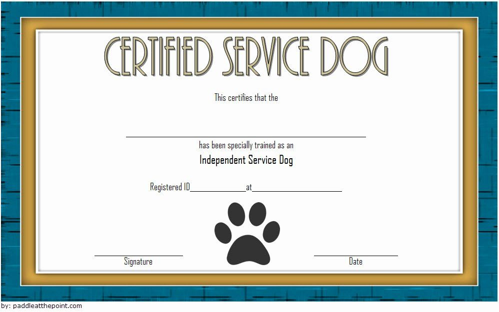Dog Training Certificate Template Beautiful Dog Training regarding Dog Training Certificate Template Free 10 Best