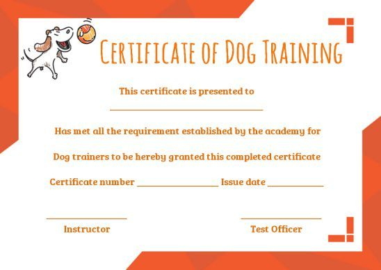 Dog Training Certificate Template | Training Certificate with Dog Obedience Certificate Template