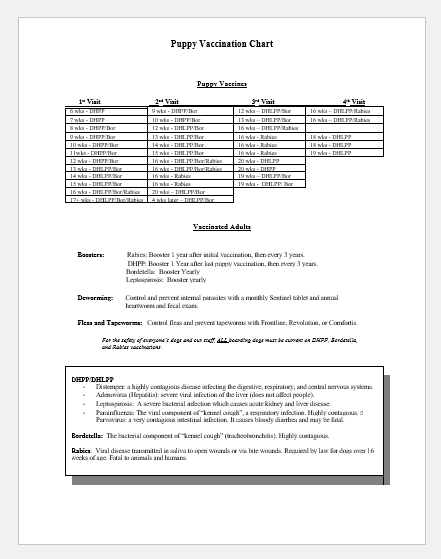 Dog Vaccination Chart Template For Word | Printable Medical regarding Dog Vaccination Certificate Template