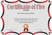 Fire Extinguisher Certificate Template (3) – Templates with regard to Fire Extinguisher Training Certificate Template Free