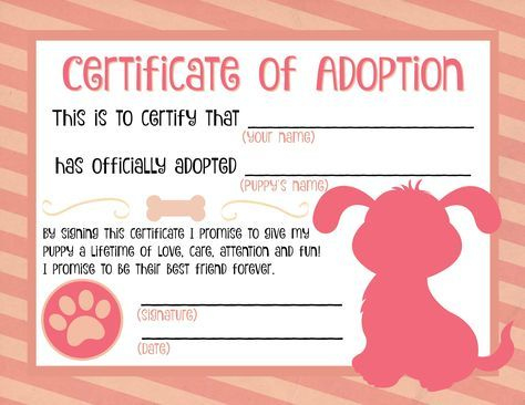 Free Printable Stuffed Animal Adoption Certificate Free inside Stuffed Animal Adoption Certificate Template Free