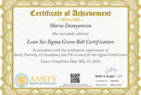 Green Belt Certificate Template 4 – Best Templates Ideas For pertaining to Quality Green Belt Certificate Template