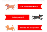 How To Ask A Doctor For An Emotional Support Animal Letter in Best Service Dog Certificate Template Free 7 Designs