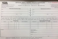 Interstate Health Certificate, Shot Record, International throughout Fresh Rabies Vaccine Certificate Template
