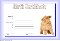 Kitten Birth Certificate Template For 2020 (Version 1) In with regard to Unique Kitten Birth Certificate Template