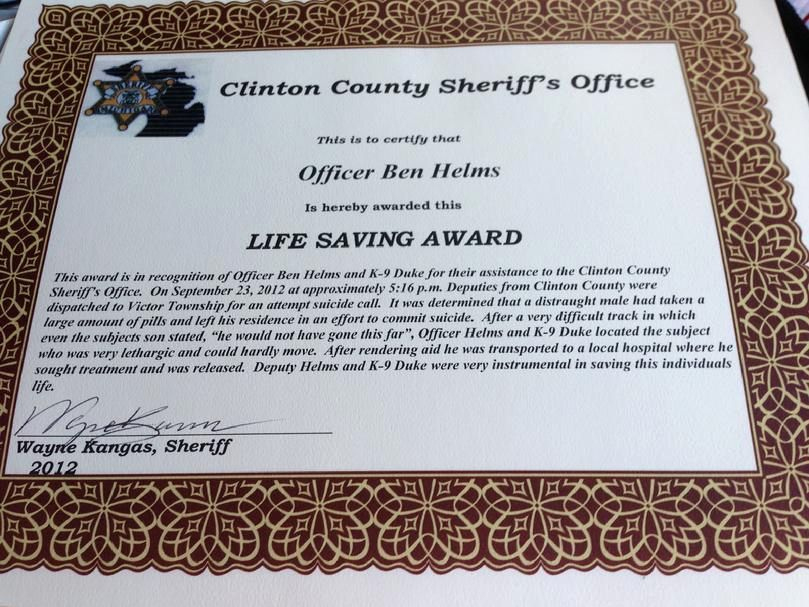 Life Saving Award Certificate Template Awesome German intended for Life Saving Award Certificate Template
