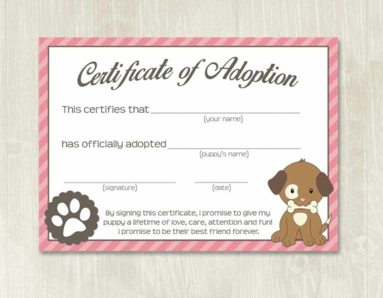 Pet Adoption Certificate Template, Fake Adoption Papers For within New Stuffed Animal Adoption Certificate Editable Templates