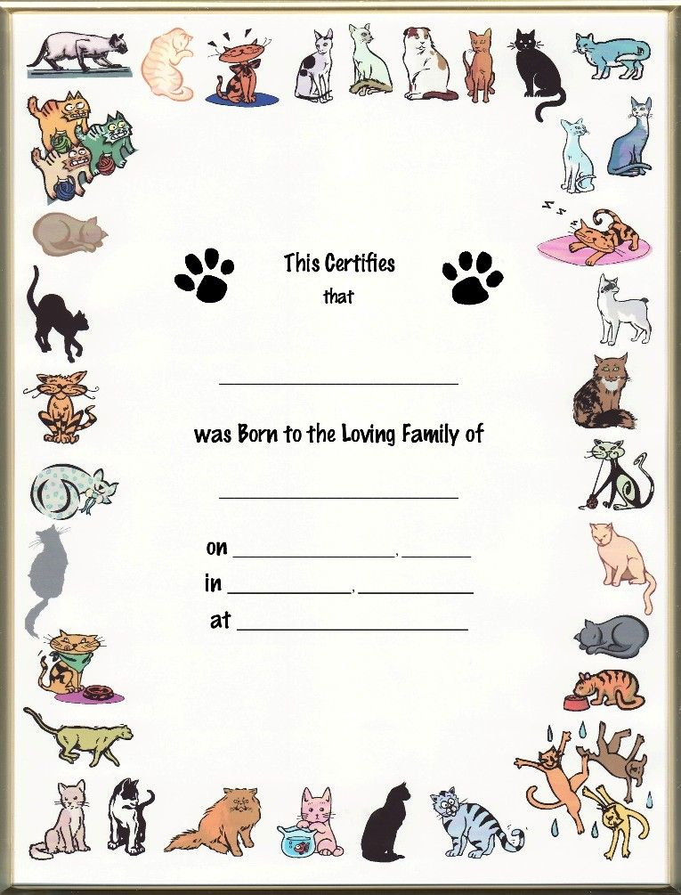 Pet Birth Certificate | All Blank &amp;amp; Printed Pet Keepsake in Unique Kitten Birth Certificate Template