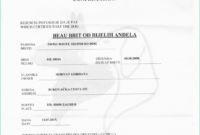Pin On Certificate Templates pertaining to Mexican Marriage Certificate Translation Template