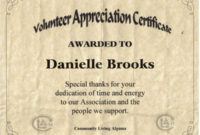 Pin On Projects To Try for Volunteer Award Certificate Template