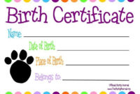 Pinglamor Guru On The Doc Is In | Pet Adoption intended for Stuffed Animal Birth Certificate Template 7 Ideas