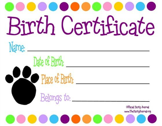 Pinlaurel Berg On The Doc Is In | Pet Adoption for Stuffed Animal Birth Certificate Templates
