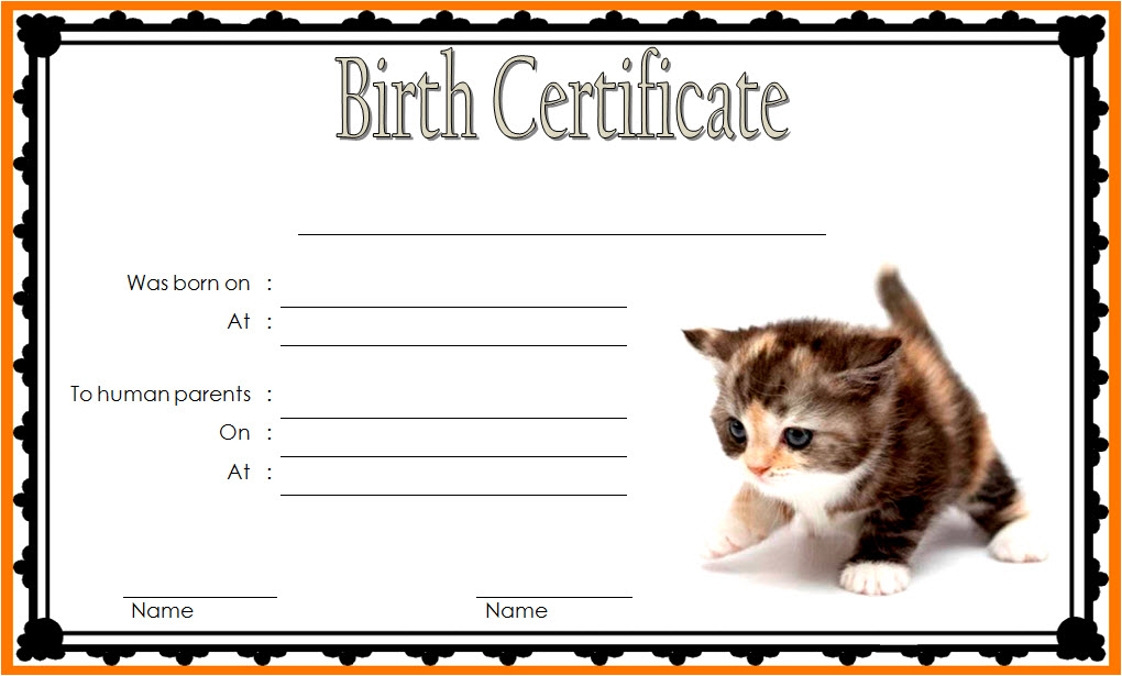 Printable Kitten Birth Certificate Free 1 | Cat Birth, Birth with Fresh Rabbit Birth Certificate Template Free 2019 Designs