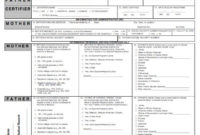 Reptile Birth Certificate Template – Shouldirefinancemyhome for Fake Birth Certificate Template