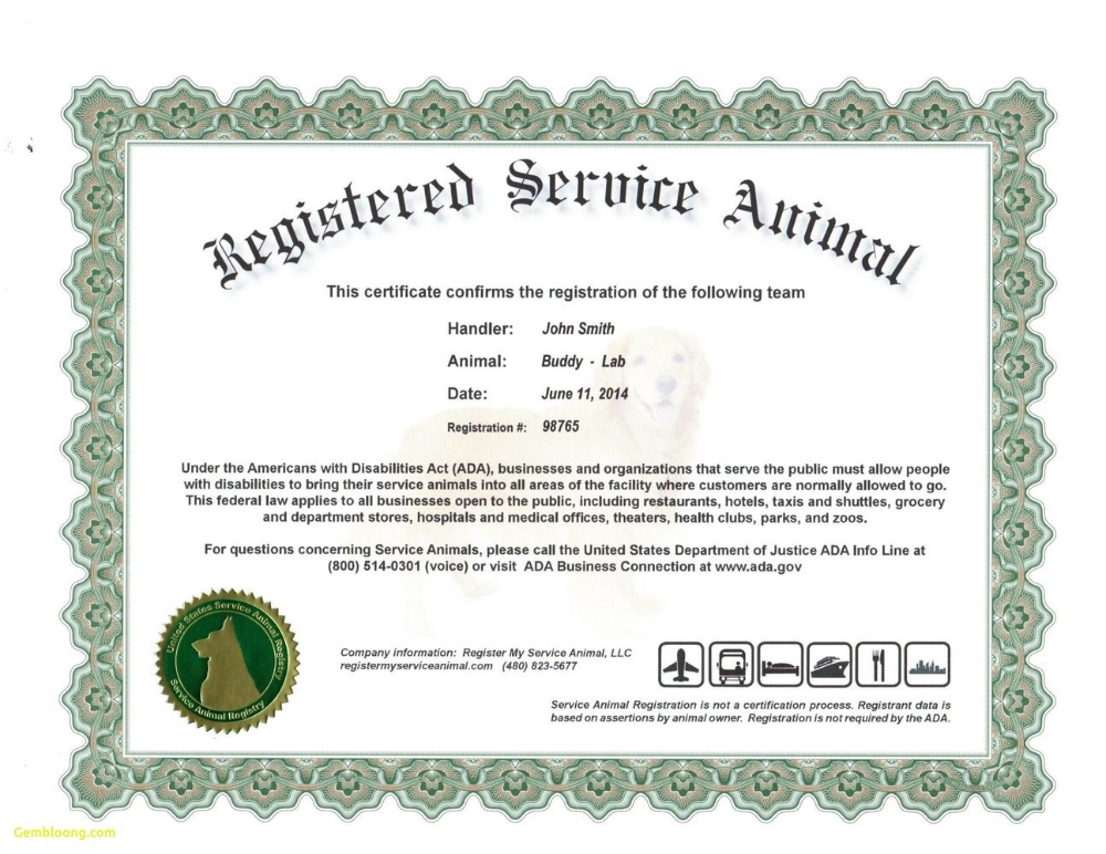 Service Dog Certificate Template | Certificate Templates inside Fresh Service Dog Certificate Template