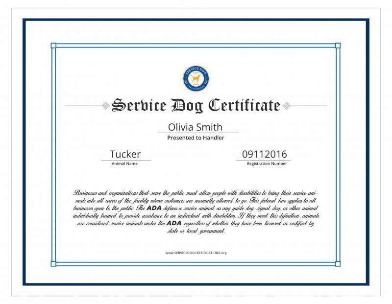 Service Dog Certificate Template Unique Free Dog Birth with Unique Dog Training Certificate Template Free 10 Best
