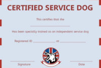 Service Dog Training Certificate Templates | Certificate inside Dog Training Certificate Template Free 10 Best