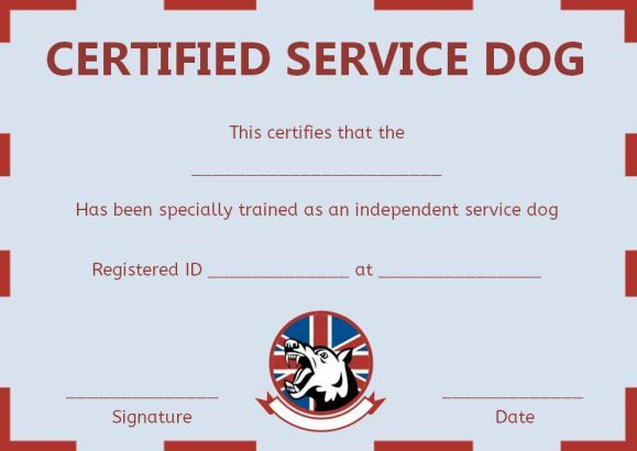 Service Dog Training Certificate Templates | Certificate pertaining to Service Dog Certificate Template