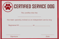 Service Dog Training Certificates Template | Certificate throughout Dog Training Certificate Template Free 10 Best