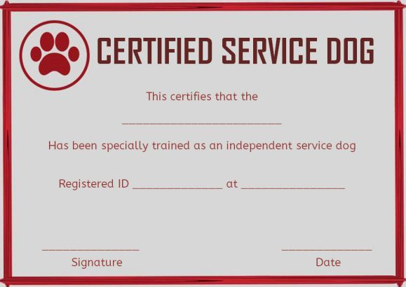 Service Dog Training Certificates Template | Certificate throughout Dog Training Certificate Template Free 10 Best