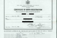 South African Birth Certificate Template Awesome 009 with regard to South African Birth Certificate Template