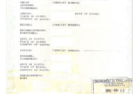 South African Birth Certificate Template | Birth Certificate throughout South African Birth Certificate Template