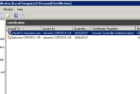 Think Big – With Powershell: Validate Domain Controller in Domain Controller Certificate Template
