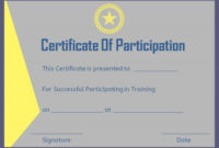Training Participation Certificate Format | Certificate Of pertaining to Sample Certificate Of Participation Template