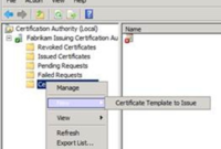 Update Certificates That Use Certificate Templates (1 with regard to Update Certificates That Use Certificate Templates