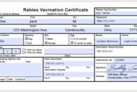 Usda Aphis | Preparing And Receiving Pets For Air Travel regarding Rabies Vaccine Certificate Template