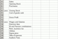 10+ Profit And Loss Templates – Excel Templates intended for New Financial Statement For Small Business Template