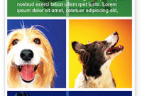 Dog Breed Brochure Template Design And Layout, Download throughout New Dog Breeding Business Plan Template
