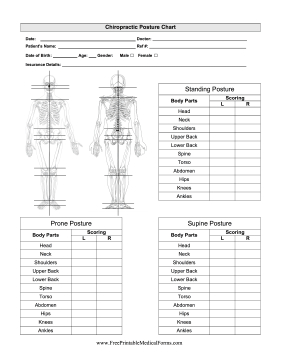 Featuring Pictures Of The Human Skeleton From The Front for Acupuncture Business Plan Template